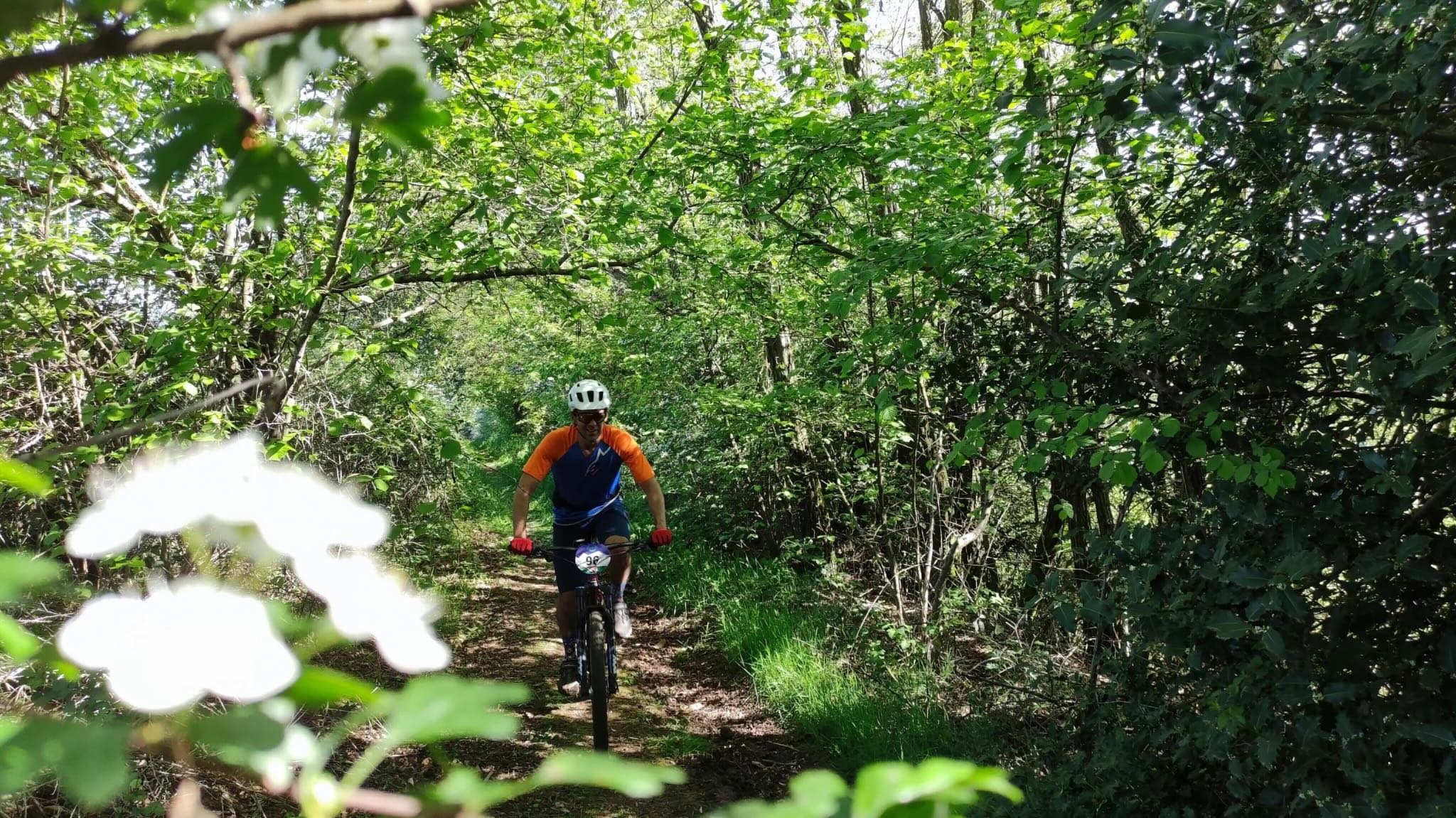 Sentier sous la voûte végétale, Trans Madeleine