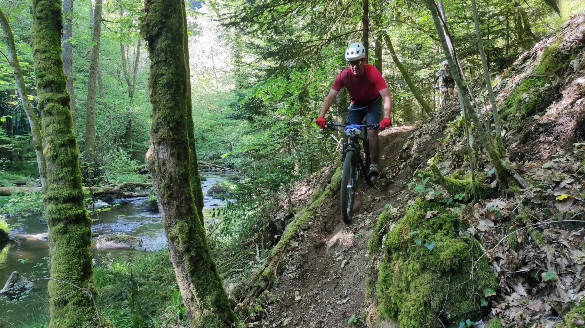 Descente le long du ruisseau dans les monts de la Madeleine